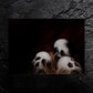 Fallen Ones - about meaningful life - 11x14, 11x17 Print
