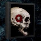 Skull Painting #12 - 8 x 10 Original Framed Oil Painting